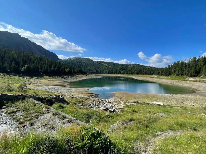 Lago Palù Giugno 2022