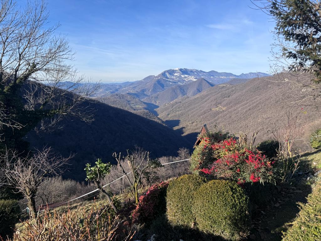Vista panoramica sulle montagne e valli bergamasche durante la salita al Monte Canto Alto da Sorisole, con cespugli fioriti in primo piano e il cielo limpido di una giornata invernale.