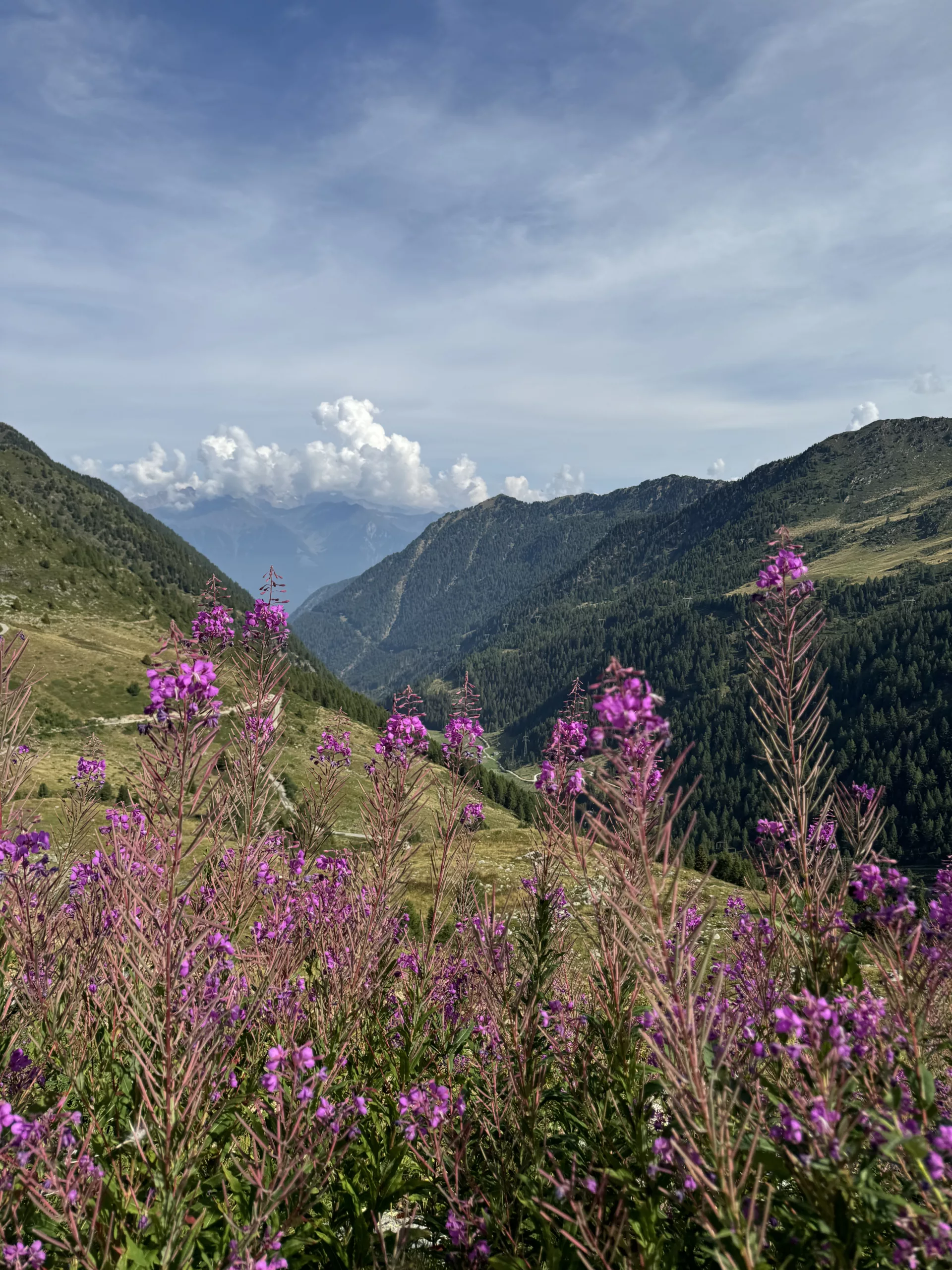 Escursione Rifugio Dordona, foto durante la salita