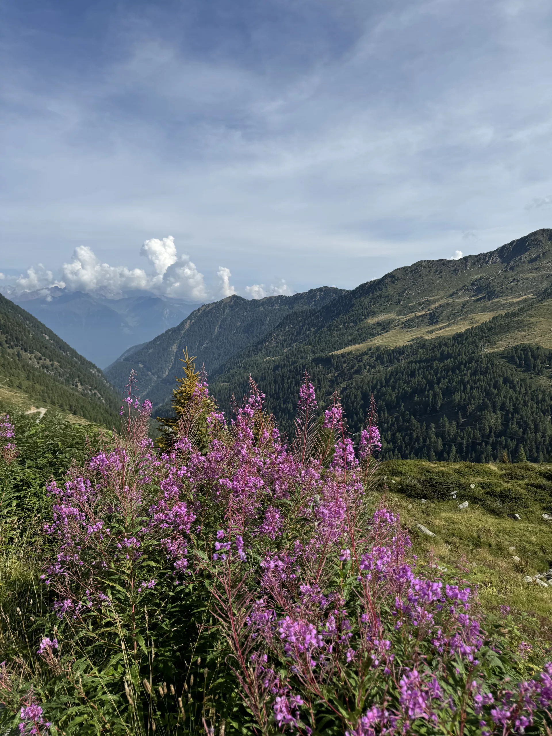 Escursione al Rifugio Dordona 18 paesaggio passo dordona