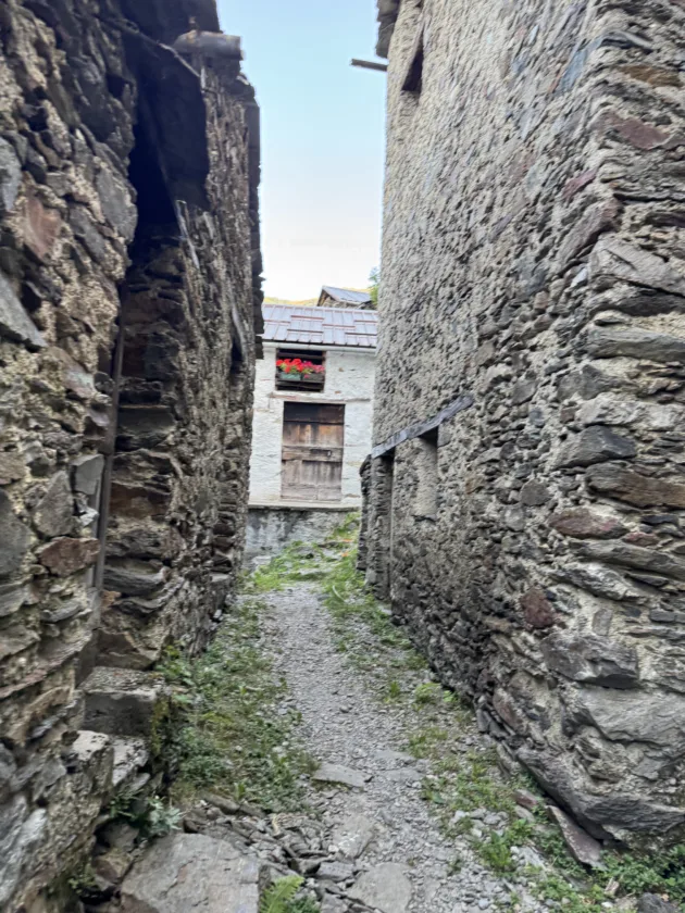 Passeggiata estiva all’Alpe Deleguaggio: ombra, panorama e tradizione 15 IMG 9102