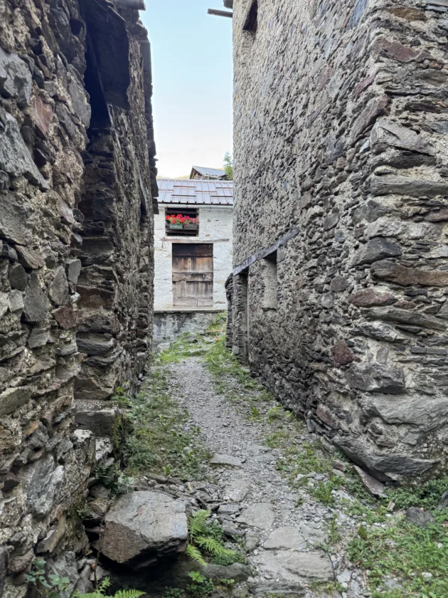 Passeggiata estiva all’Alpe Deleguaggio: ombra, panorama e tradizione 10 IMG 9103