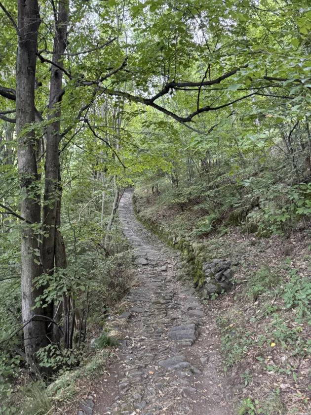 Passeggiata estiva all’Alpe Deleguaggio: ombra, panorama e tradizione 11 IMG 9105