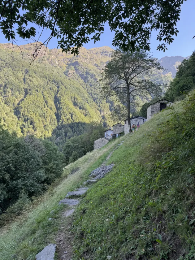 Passeggiata estiva all’Alpe Deleguaggio: ombra, panorama e tradizione 9 Ecco la fine del sentiero verso l'alpe deleguaggio