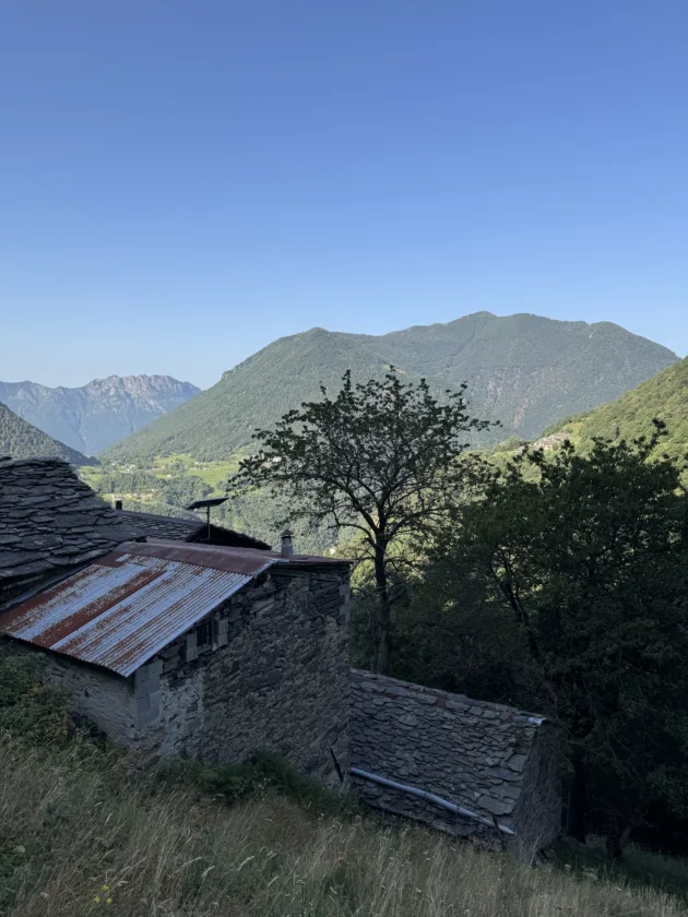Passeggiata estiva all’Alpe Deleguaggio: ombra, panorama e tradizione 14 IMG 9108