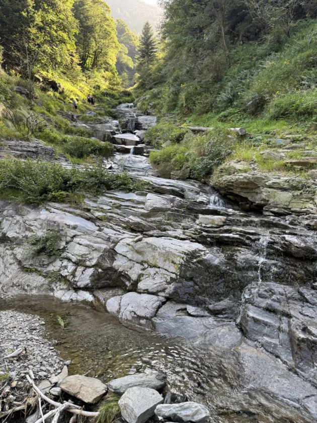 Passeggiata estiva all’Alpe Deleguaggio: ombra, panorama e tradizione 8 Torrente incontrato lungo il percorso verso l'alpe deleguaggio