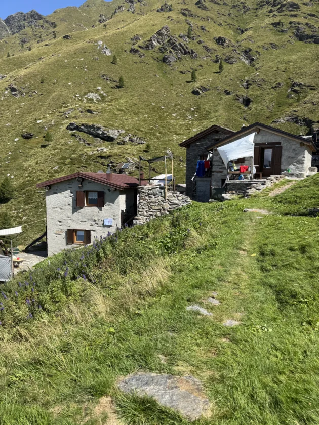 Passeggiata estiva all’Alpe Deleguaggio: ombra, panorama e tradizione 6 Eccoci arrivati all'alpe deleguaggio, le tipiche casette degli alpeggi