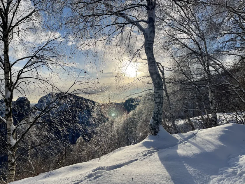 00013Pian dei resinelli viste invernali