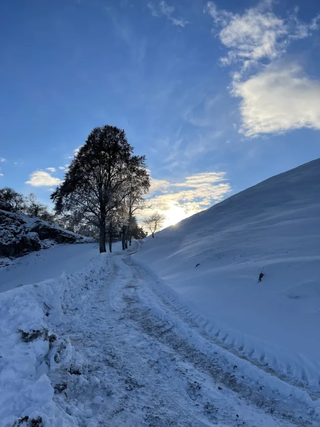 00020Pian dei resinelli viste invernali