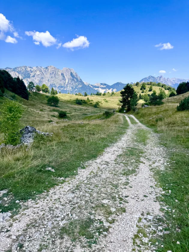 sentiero dei grandi alberi da recoaro