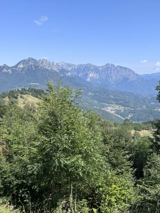 sentiero grandi alberi recoaro terme