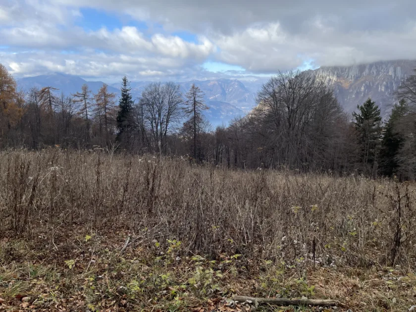 vista dal pian dei resinelli